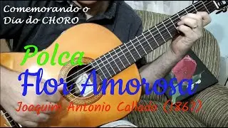 Flor Amorosa (Joaquim Antônio Calado) - Choro de 1867