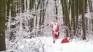 коронавирус сдох