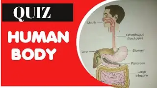 QUIZ | HUMAN BODY | PART 1 | BODY PARTS QUIZ | CBSE CHANNEL | WHAT IS OESOPHAGUS?
