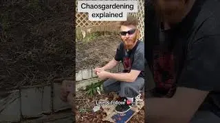 How i chaos garden
