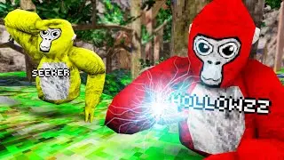 I Used HACKS In Hide And Seek.. (gorilla tag)