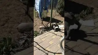 Что то вечно делят)