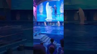 Дружеское рукопожатие 🤝