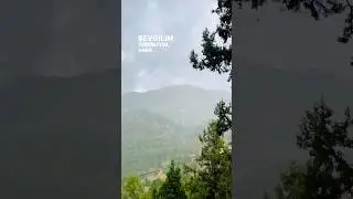 Yıldız Tilbe - Sevmeyeceğim