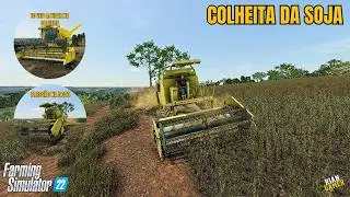 Colhemos Nossa Primeira Safra de Soja || #11 G29