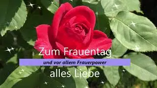 Grüße zum Weltfrauentag!