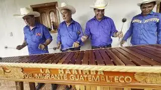 El tiburón. .hermanos Guerra