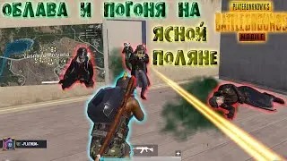 ОБЛАВА В ЯСНОЙ ПОЛЯНЕ PUBG MOBILE IPAD PRO 12.9