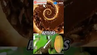 ¿Sabias esto del cacao? #education #curiosidades #viral #shorts