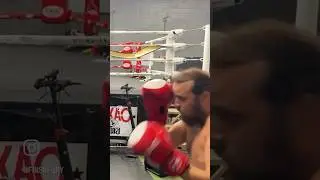 It’s Getting WILD in the AQUARIUM Hobby?! #specialevent #aquariumhobby #boxing #finsnfury