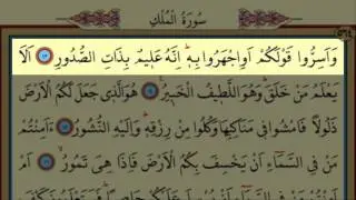 Surah Al-Mulk(67) by Nasser Al Qatami Majestic Recitation(Mülk)