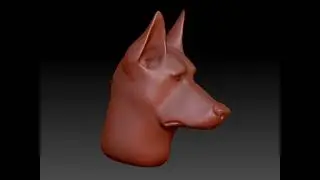 Dog Head Sculpt (ZBrush)
