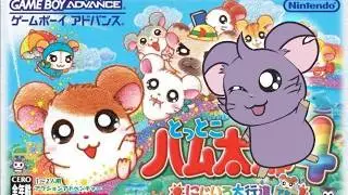 [4 April 2026] LET'S FINISH RAINBOW RESCUE TODAY!!!
