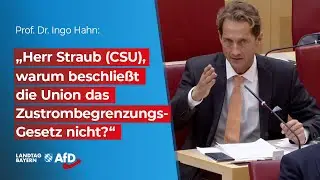 „Herr Straub (CSU), warum beschließt die Union das Zustrombegrenzungsgesetz nicht?“