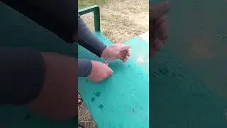 JEWELRY Detecting on the Beach. 