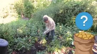 На даче у Алисы