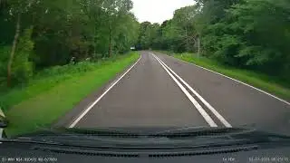 Deer on the A68 A69
