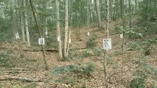 Most DISTURBING Camping Encounters Caught on Camera Vol.3