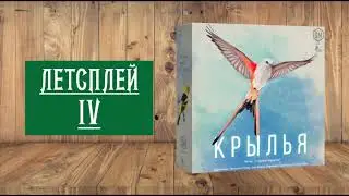 Летсплей IV: Настольная игра 