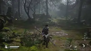 Black myth : Wukong  - ROG ally setting test