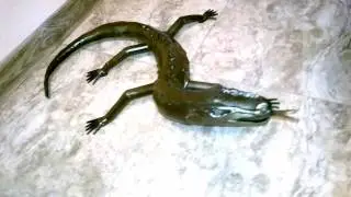 Ящер ВАРАН (своими кривыми руками из металла)