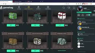 Opening 4 Chests in GameHag (Survival Chest Too)