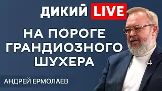 Время спекуляций, или политневроз. Андрей Ермолаев. ДИКИЙ LIVE.