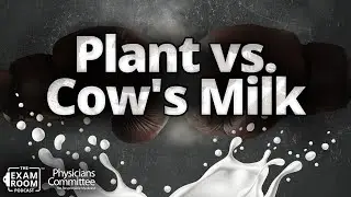 Nondairy vs. Cow's Milk: Which Is Healthier? | Dr. Anna Herby