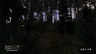DayZ_20240804133429