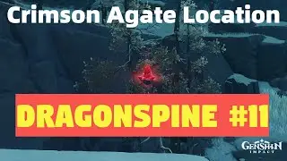 Crimson Agate [