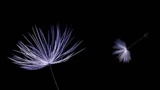 Samsung Galaxy S9/S9+ giveaway
