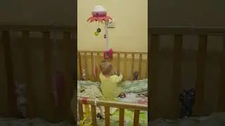 Первые попытки встать