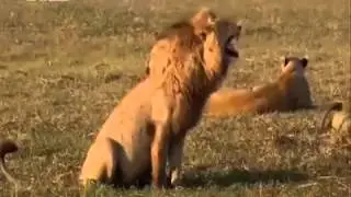 ДУНЁДАГИ ЭНГ КУЛГУЛИ РАҚС
