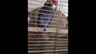 Жора, давай поговорим!