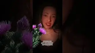 Единорог гобелен Средневековья 