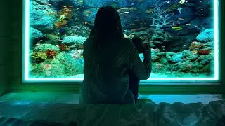 🖼️How to make a lighted aquarium window in a dark room- in #PicsArt only