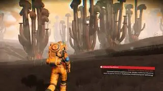 Diverse Environments For NEXT - MEGA CACTUS BIOME.