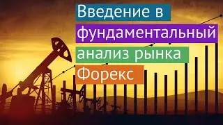 Введение в фундаментальный анализ рынка Форекс