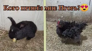 Кого привëз мне Игорь?😍 