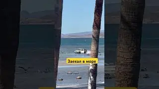 Мужик заехал в море. А зачем ? #мексика #bajacalifornia