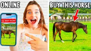 BUY ANYTHING YOU WANT ONLINE UNTIL YOU'RE ELIMINATED w/Norris Nuts
