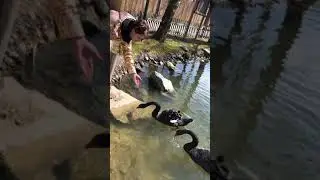 Wildpark Poing