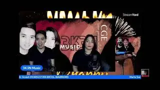 THE CONCERT HIGHLIGHTS