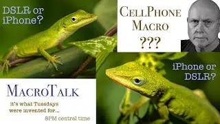 Cellphone Macro - Macro Talk #59 - from Allan Walls Photography, September 5, 2023
