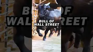 Bull of wall street