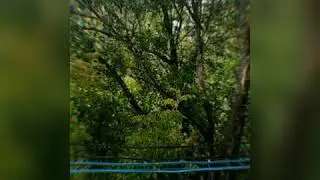 Просто ламповое видео