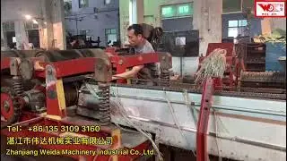 Zhanjiang Weida Machinery - Banana Automatic  Decorticator