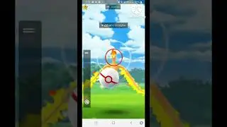 moltres catch 
