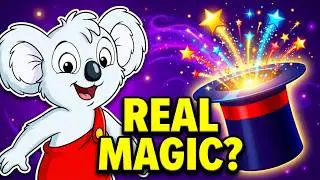 Blinky Bill and the Magician (1998) - Longplay 🐨🧙‍♂️