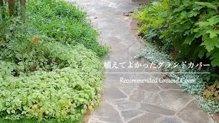 《Ground cover that was good to plant》A variety that has a high weed prevention effect